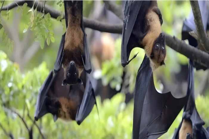 乐天堂·fun88(中国区) - 官方网站